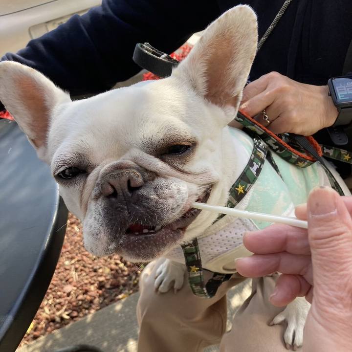 94443c99 59eb 4c0a a40c 33017a492553 1678356253954