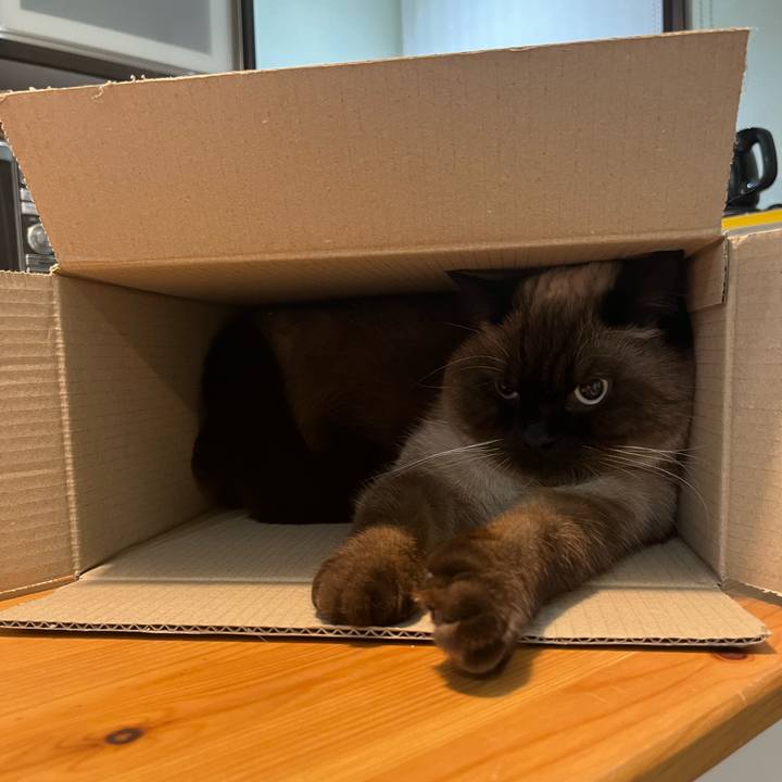 94443d03 791a 45d0 9828 473df4c841ba 1639962301048