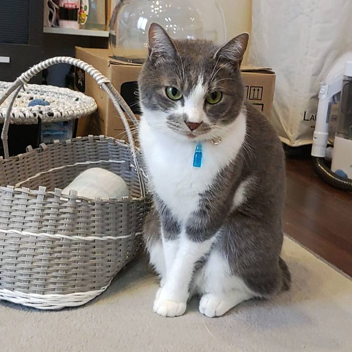 94447034 a9d1 4bc0 8f7b 4ab5e32545eb 1669888015498