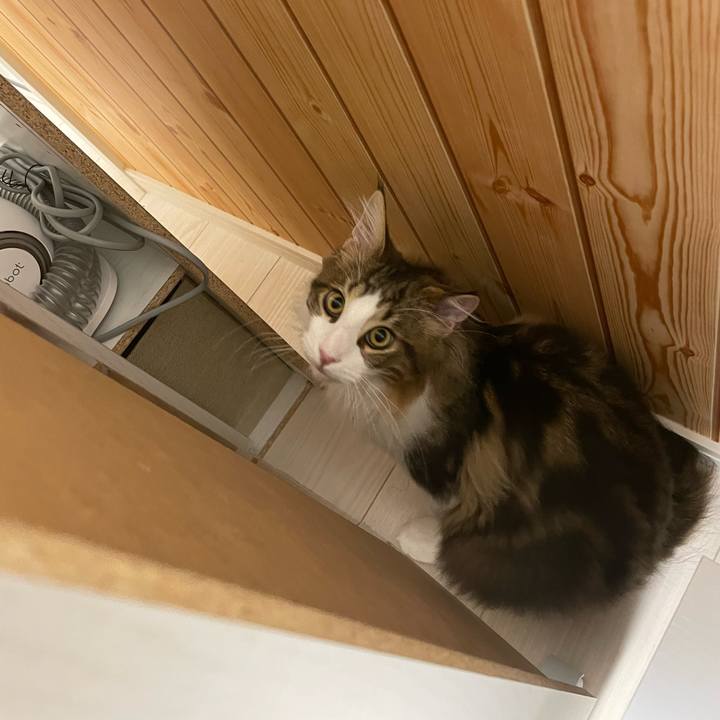 944479e4 c6fd 4877 9404 919ae522abbd 1639084862252