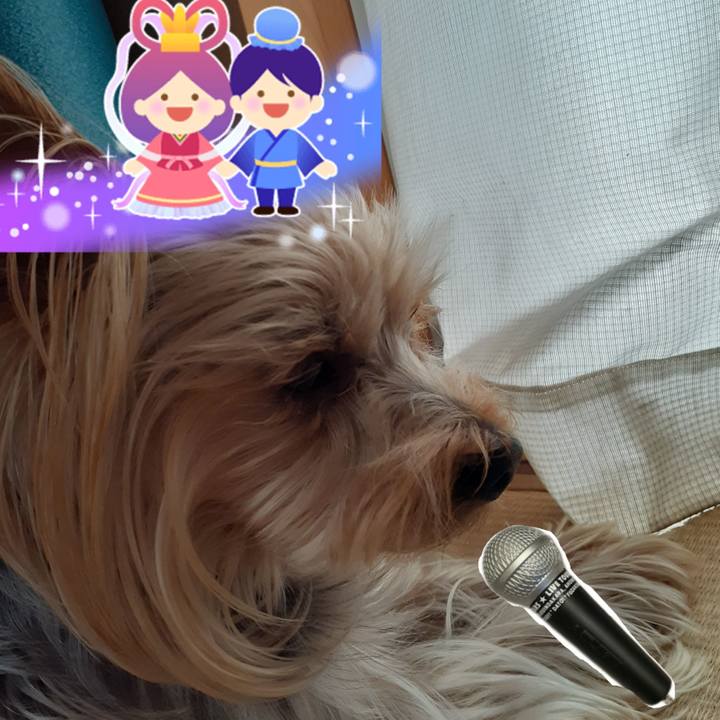 944482a0 7b0e 4494 b985 4b8ffca65a7c 1625606825086