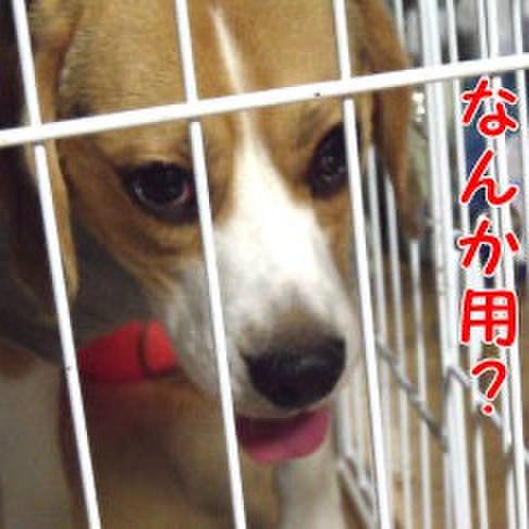 94448bb7 96a0 4029 81e7 7812ce2186f5 1719870653012