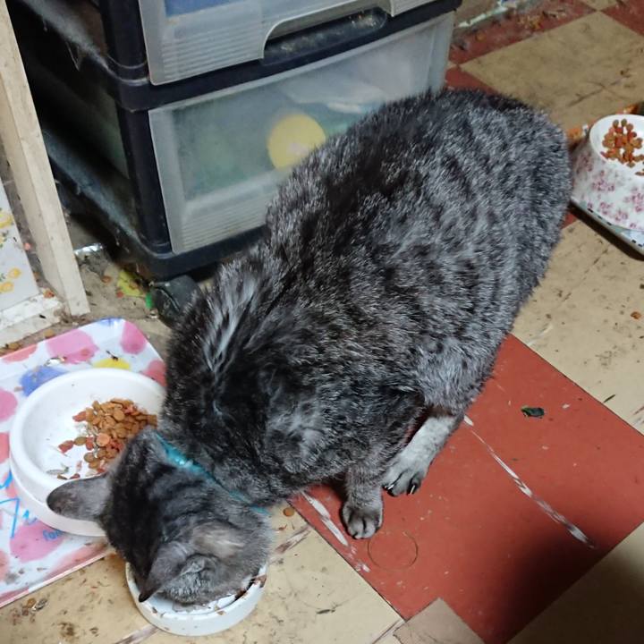 9444d0f5 bd12 4f02 b7d8 353056a683b9 1575721170033