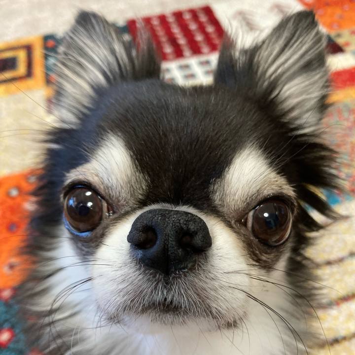 9445173a dd40 47ba 8ae9 4b78a2a45f51 1700865436372