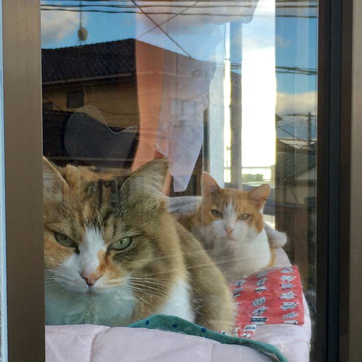 9445229a d04d 41dc 9a33 41b3b533ac73 1620285872728