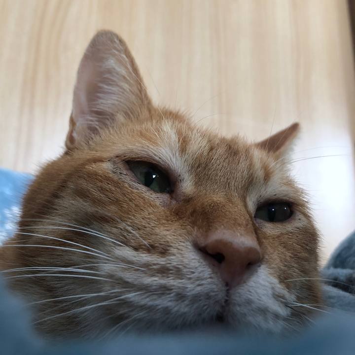 94452690 0065 40a3 a2ee a2f26fa6e00b 1706316109684