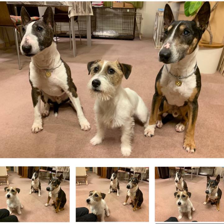 94452d0f 806a 4494 b964 140ca1ae1e0e 1584359709518