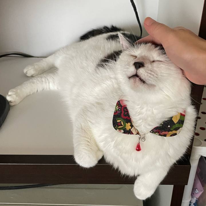 944535de 163c 475e b66c e83c85762dfb 1660102746699