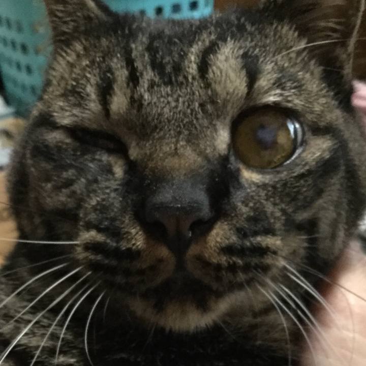 944559b2 e348 49ec 8002 f0fbbc1770e9 1592122040277