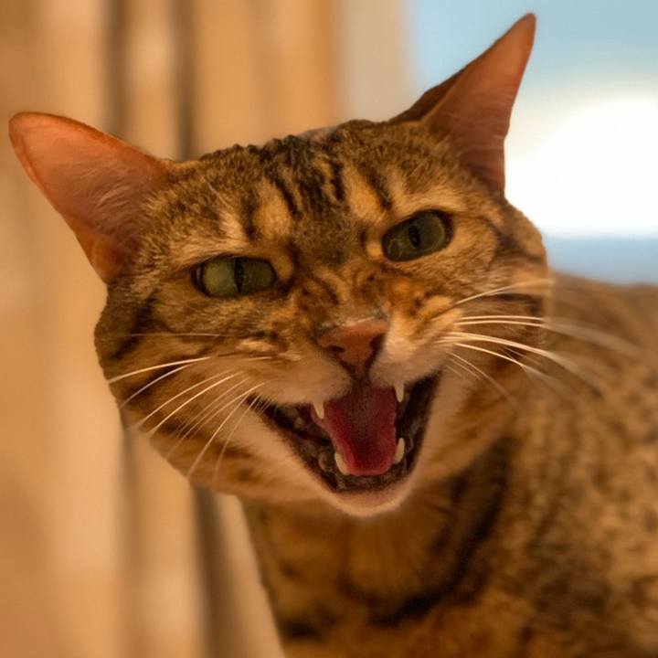 94457f8b 0c4c 4346 82e0 e231de150c26 1559864765587