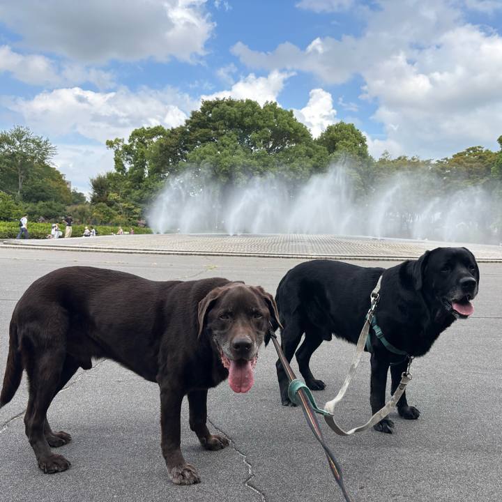 944582f5 427b 4c3b 8bcc 99d17eda761c 1759232435647