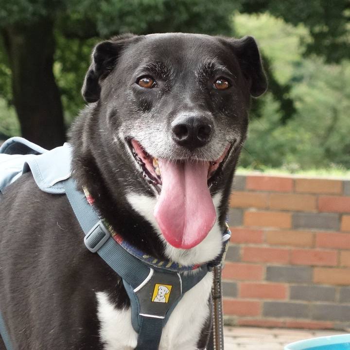 9445b263 44f2 4ca3 b655 cf9c207cece3 1723074337670