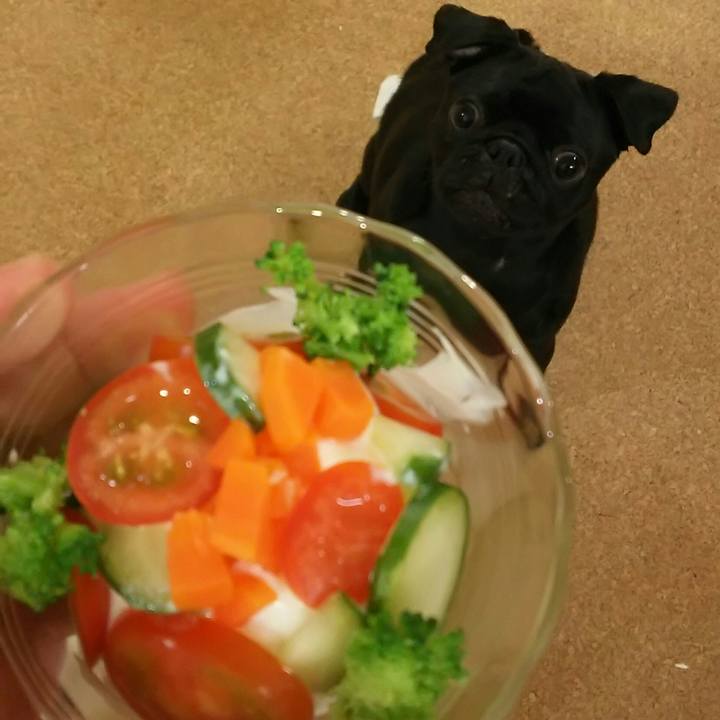 9445ca89 7c30 45c1 a834 e15cc6d9188d 1533817209491