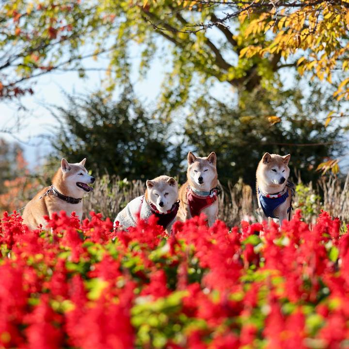 9445f5b1 e170 45f5 b873 bacd07a72bd6 1763909874376