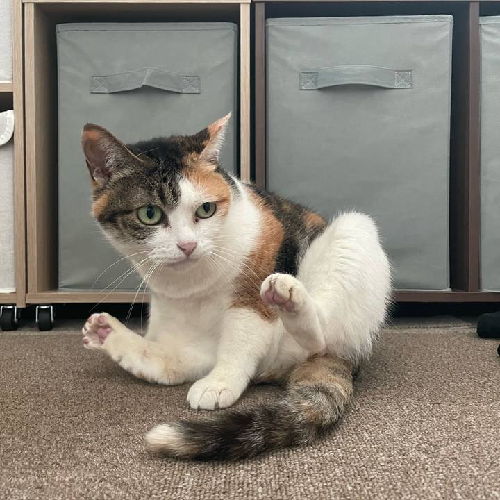 9445fcb2 c377 492c 99d9 0c31a5bf5235 1748442823725