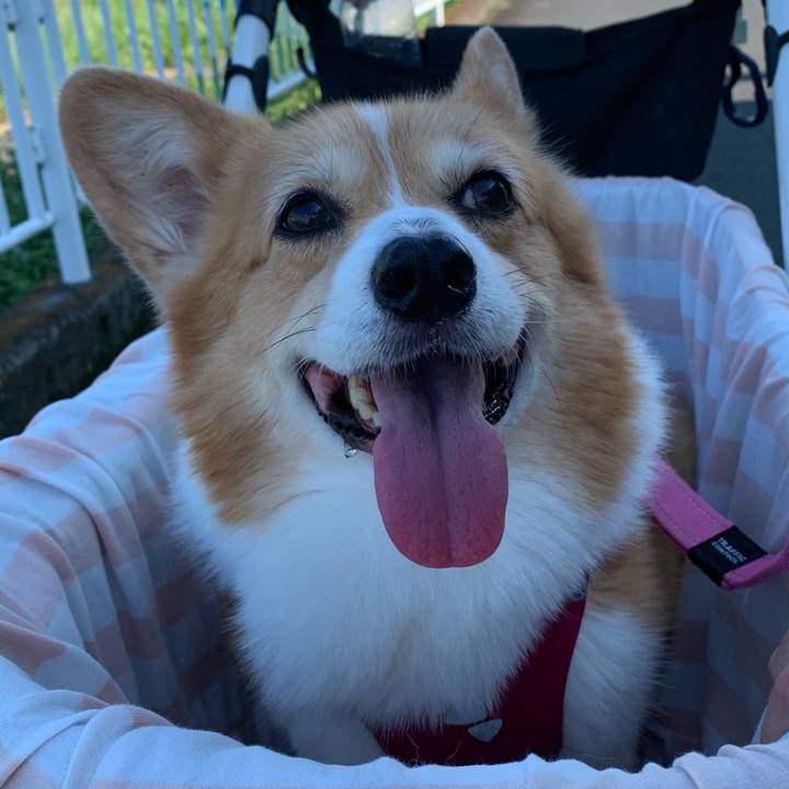 94460360 6377 4d23 9db0 a4ae8beb23ba 1722552861267