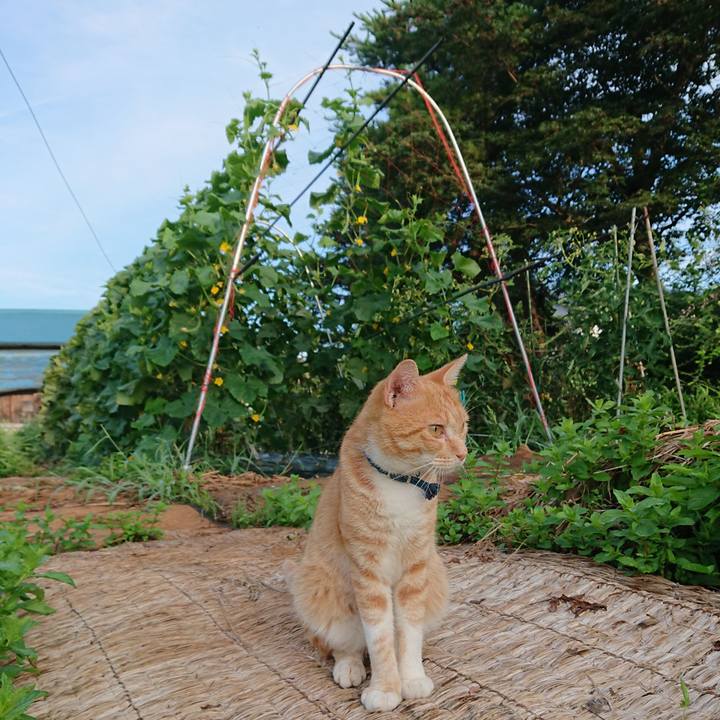 94462120 35f5 411e 9c5b bbffd0c0e95b 1564520052996