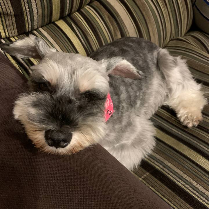 94465978 4f69 4424 912c e79c45e8469c 1628339695257