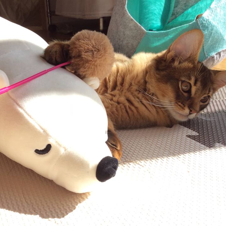 94468171 f4f6 495c 9b52 33a6e3d573cc 1574293162189