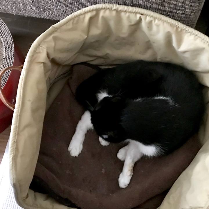 9446ba32 5698 4a89 81a2 d1b90772fa73 1542429038542