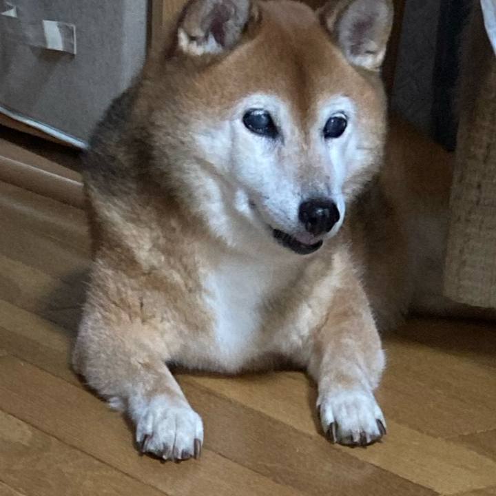 9446e06e b871 47ca ba87 d38a50069930 1724042415287