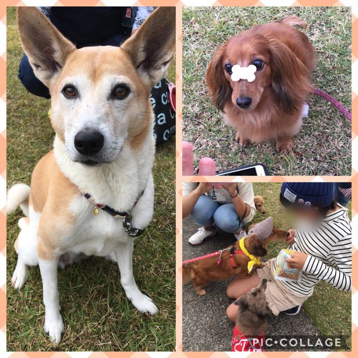 9446fa81 317e 47d4 a3ef 208d1d9fb561 1509863545058