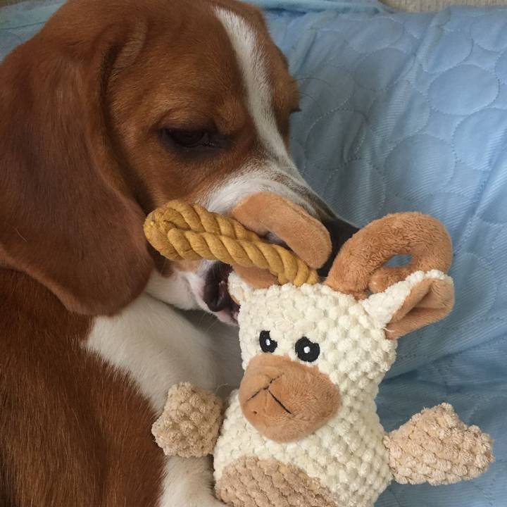 9447003b dff9 4452 9b72 c4df3e840606 1529854514316