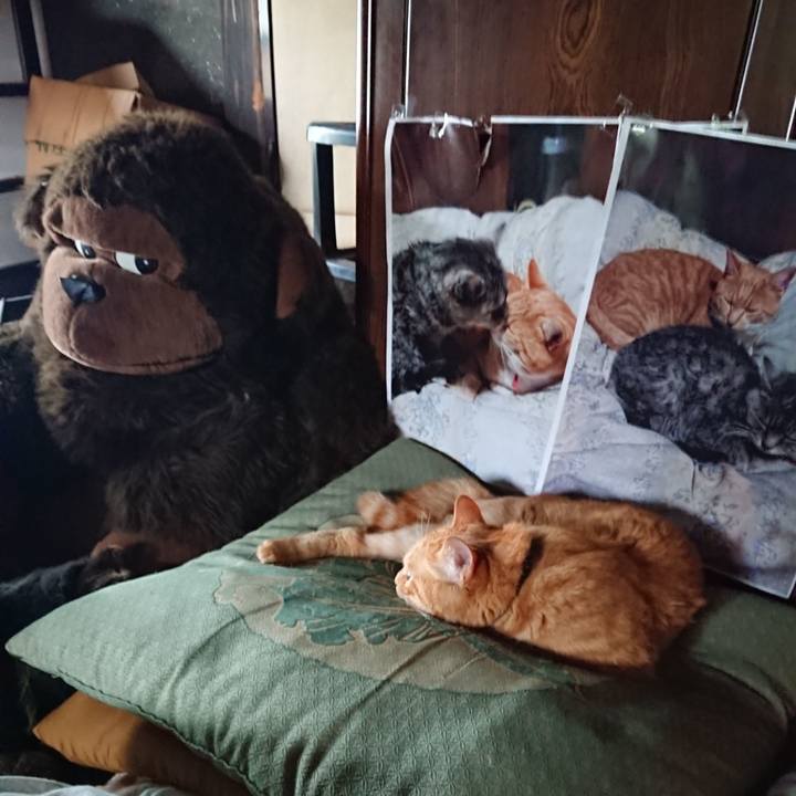 94473f0d ead7 4061 ae9c 616dd8279d04 1657688179534