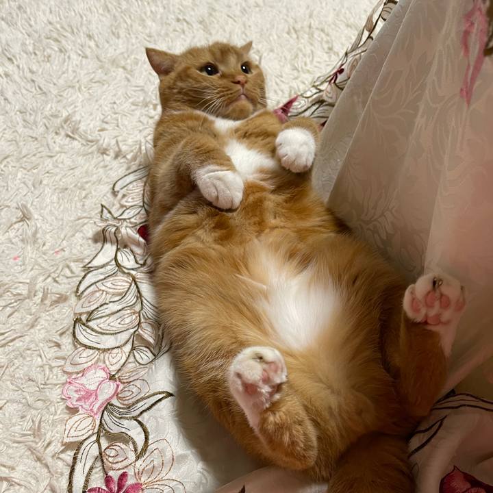 944740b0 9630 465c 84ce 7bc166bd89a2 1657462571313