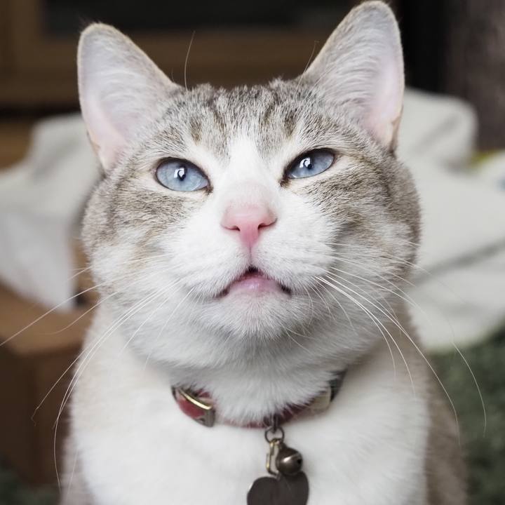 94474a4f 6c04 4151 afd8 199eba1636f7 1616382598214