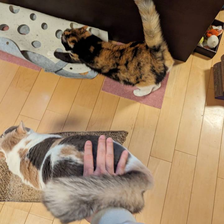 94478414 b190 47c5 a0b0 639e442d2fd8 1705635081117