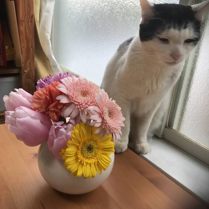 9447d795 b1bd 48f0 936e ecb0186d718a 1550301280716