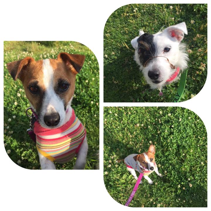 9447e5db 06b0 4c6e a7bd d186541b1715 1652665815301