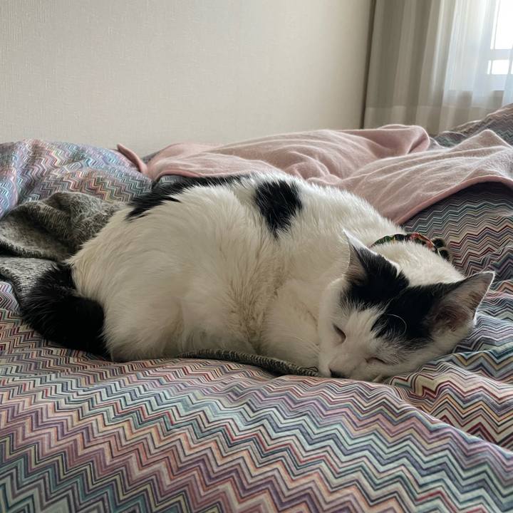 94484f11 3847 403a af99 73fc05ee6407 1646524152609