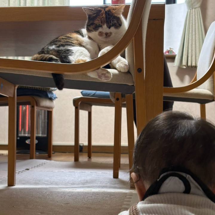 944857b9 f8a2 4c45 8094 2d32fdd10fec 1768111953157