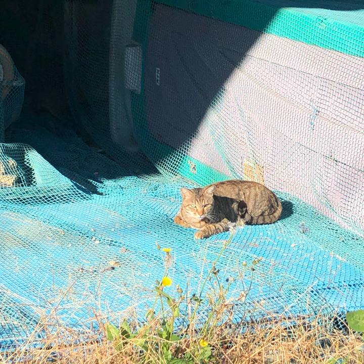 94486616 75ad 4b6c a72e aaab5e227893 1580742008688