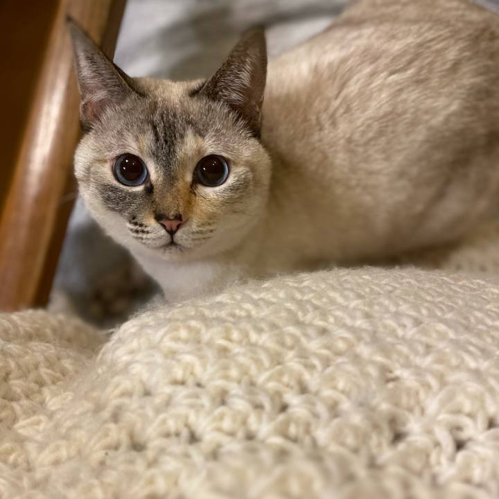 94487471 5e84 4cc5 90f7 f12772a60d5b 1732959414506