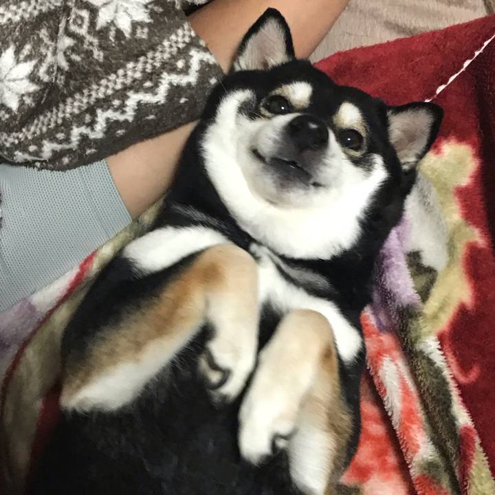 9448aae0 7861 4e9a aaec 2162081b0f5c 1554468845151