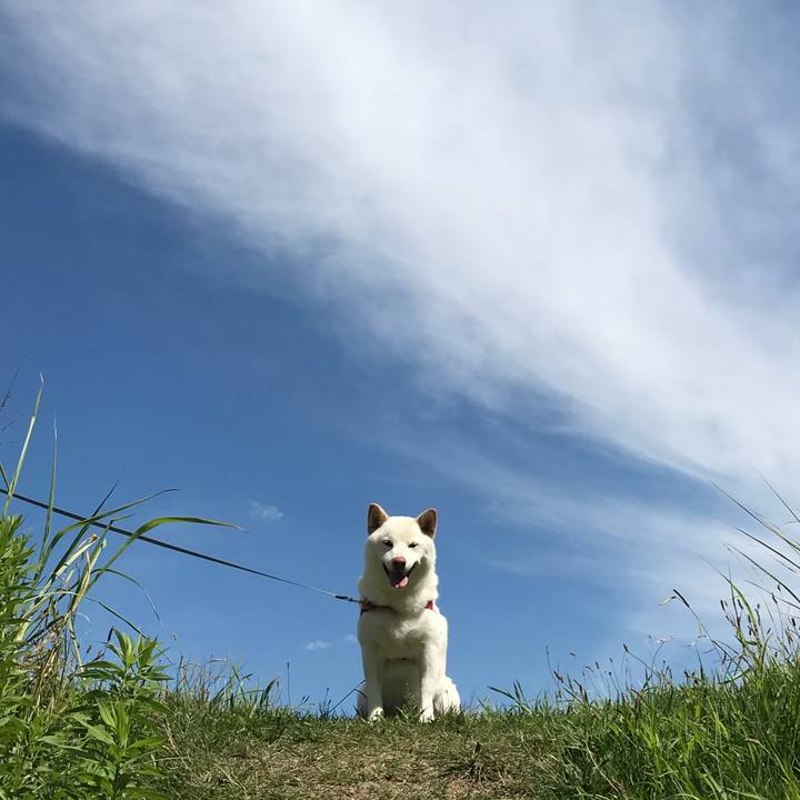 9448cabe 0981 4b73 bdaa 6b48a889cd08 1534553878482