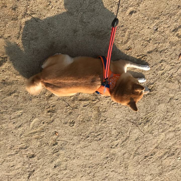 94491be8 19e2 47c5 8c07 2db9566b8b58 1509800062247