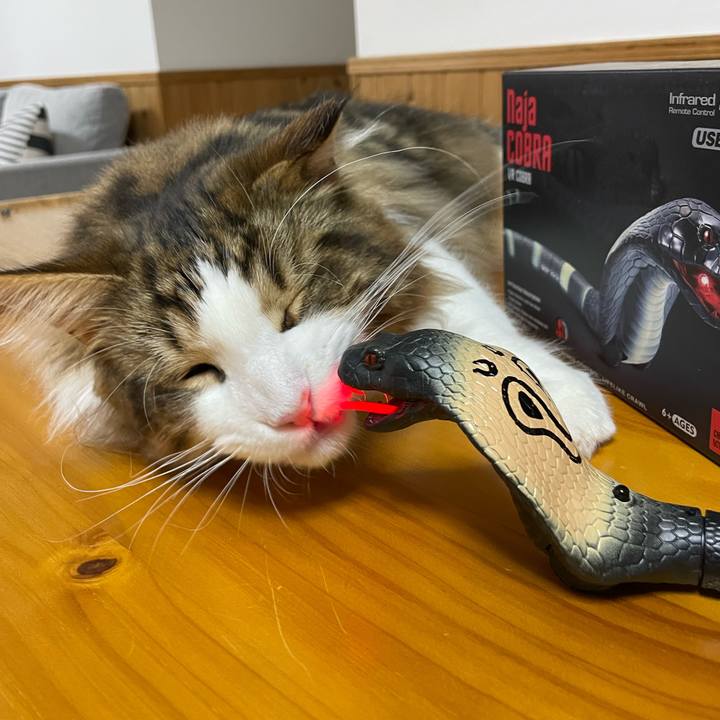 94499c36 52df 4ff8 bb0e 60f34ee40168 1648033754020