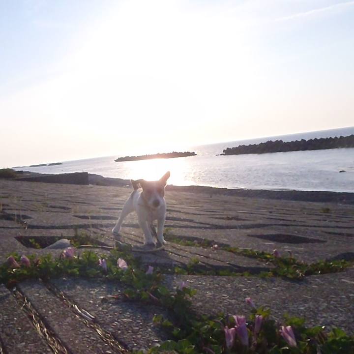 9449d4b1 867e 4473 b287 72fbc3087801 1528363760681