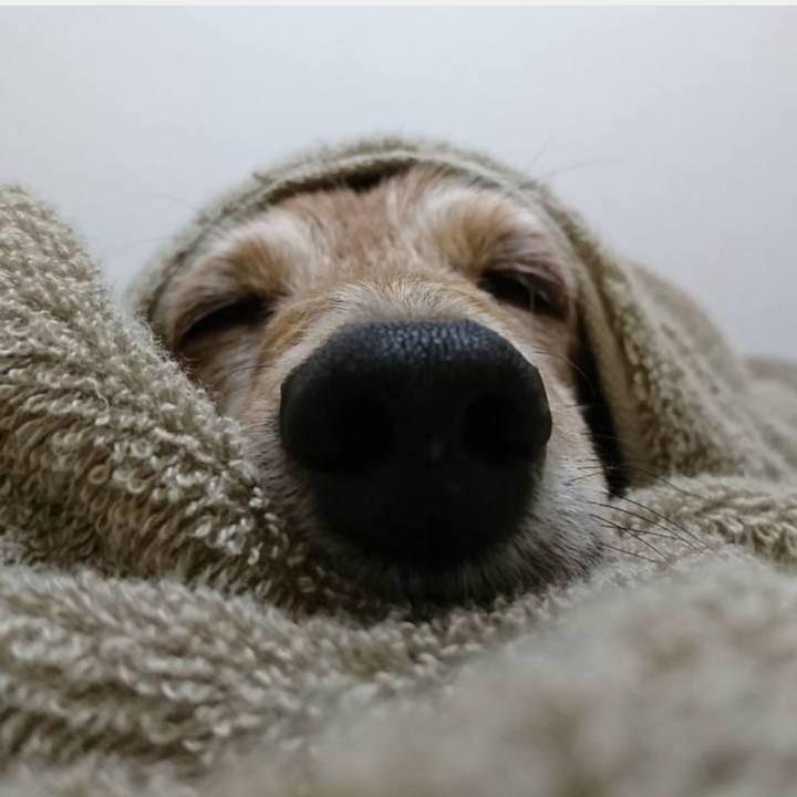 944a013f e47b 4aa1 8bec 6e096a8e0ab1 1759320557879