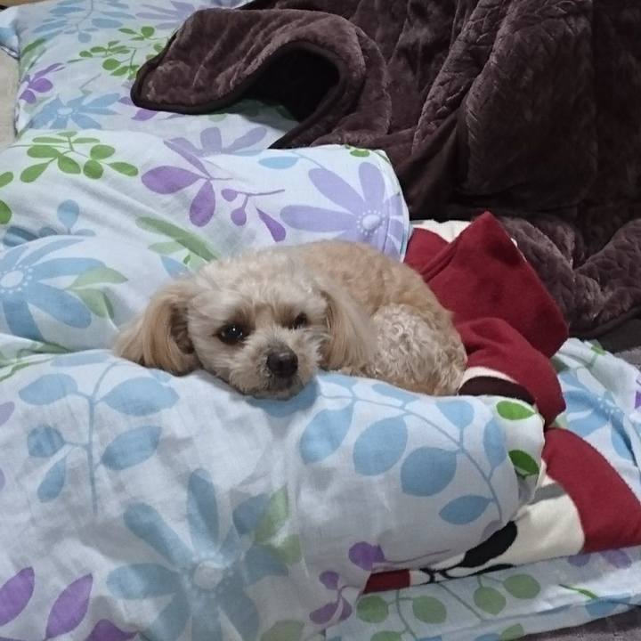 944a169d c70e 4180 a076 739f5300809e 1616215151128