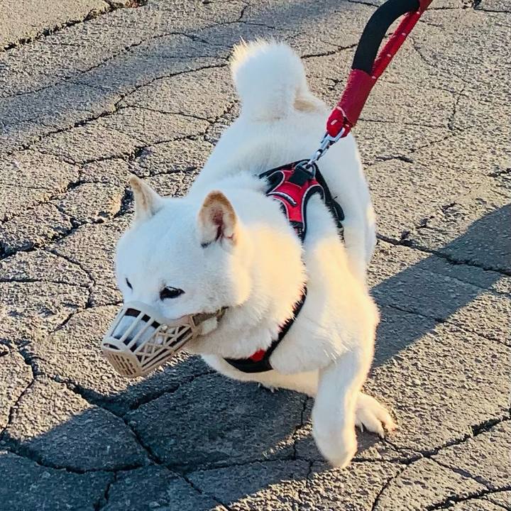 944a2105 1e17 4e34 a458 01aa07761d6e 1679264071888