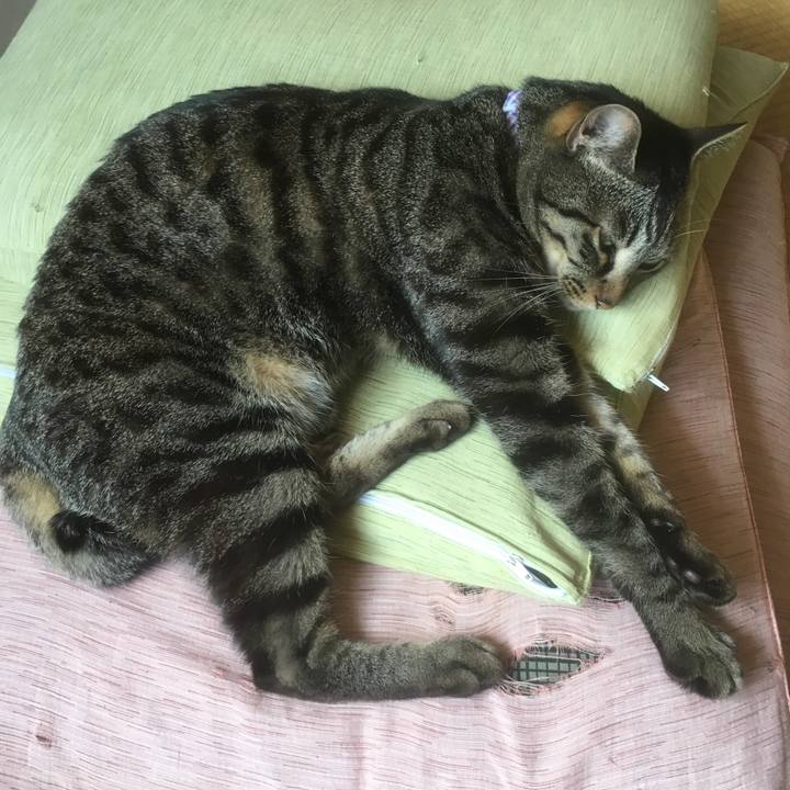 944a8685 404d 4dbf bbfb 95f3b8d8107c 1557071388387