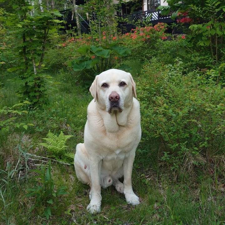 944a8a4e 6274 417b 89e4 3ac5f2eaff18 1717945742263