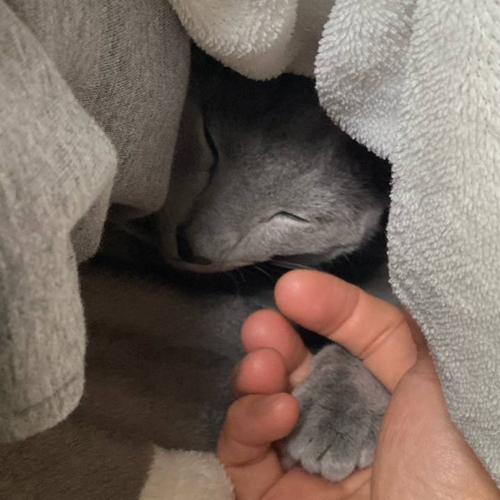 944a92b5 3577 4749 a2a3 4f407c111a78 1617539733165