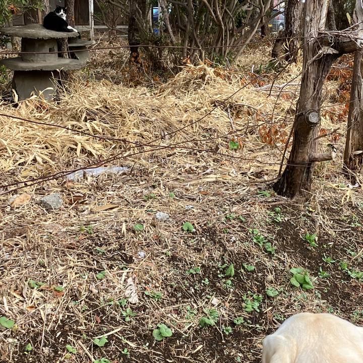 944aa84f f5a1 4877 9911 93bee32c06d8 1676948121943