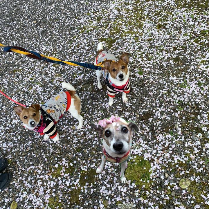 944aaab0 01c5 4c50 8b05 5f1496869b82 1586088234718